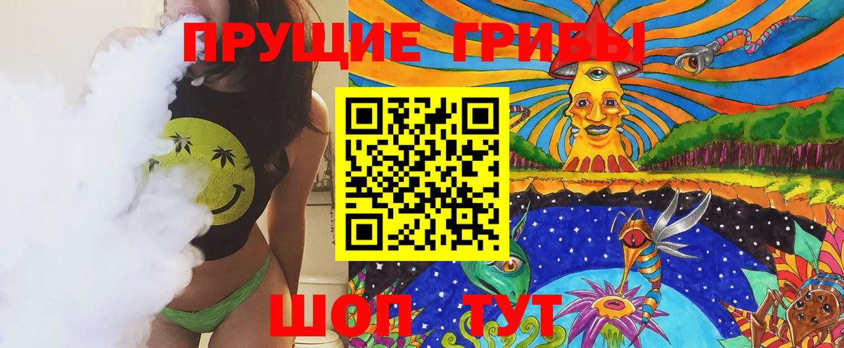 Псилоцибиновые грибы прущие грибы  хочу   Курчатов  Вход с VPN 